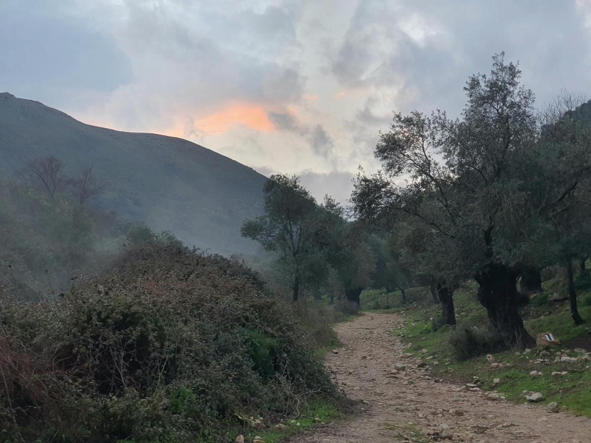 הפינה שלה -Hapina Shella ראש פינה העתיקה Villa Buitenkant foto